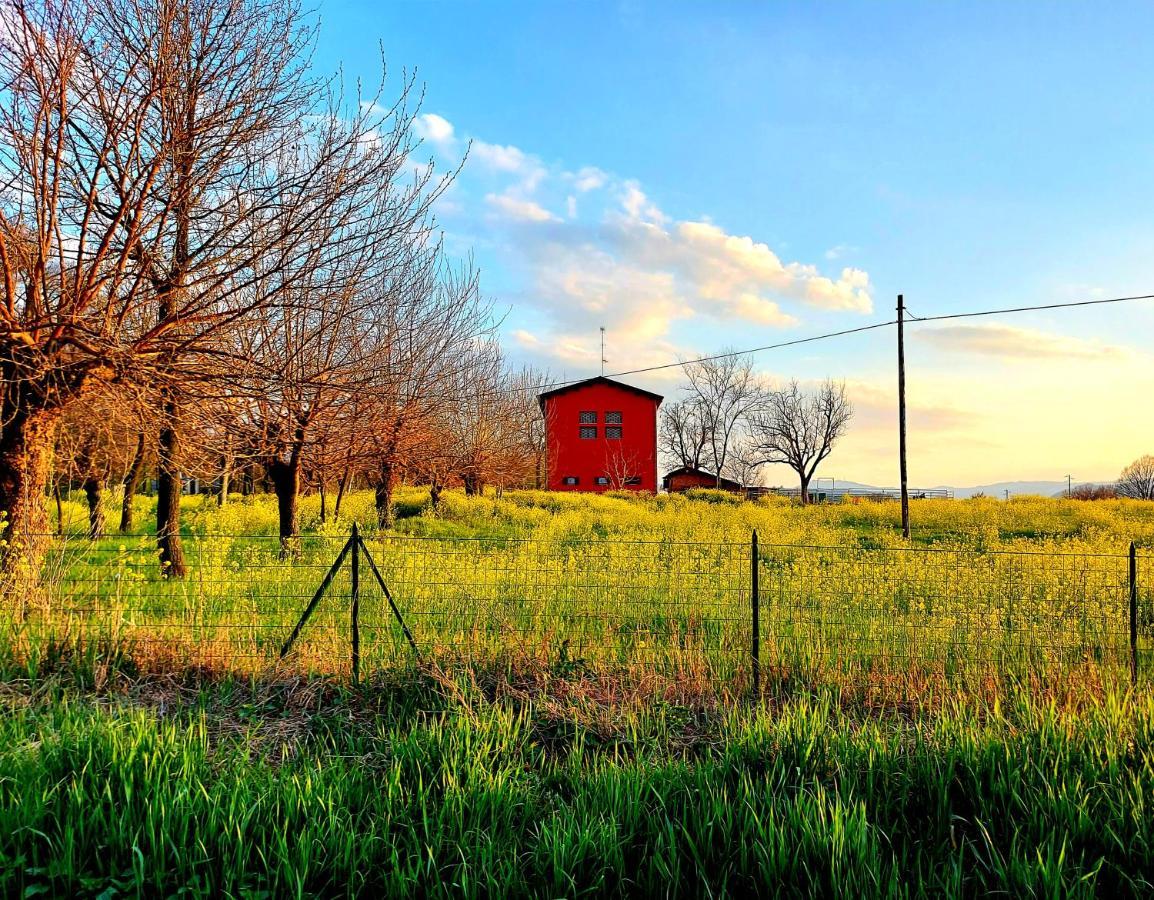 Agriturismo Azienda Agricola Ferrari M.Rita Pozza Exterior photo